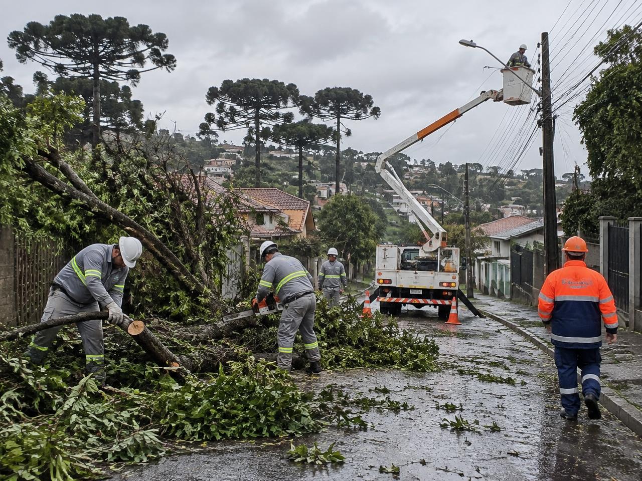 Equipes removem galhos e reparam a rede elétrica após temporal em Apucarana
